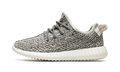 Yeezy Boost 350 "Turtle Dove 2022" AQ4832 2022