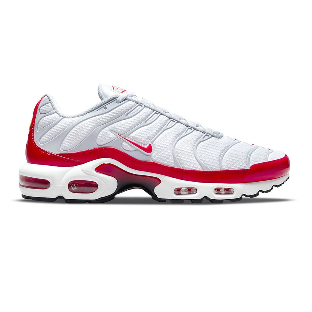 Air Max TN Plus 'Air Max 1'