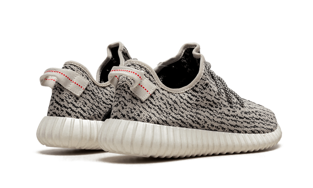 Yeezy Boost 350 "Turtle Dove" AQ4832