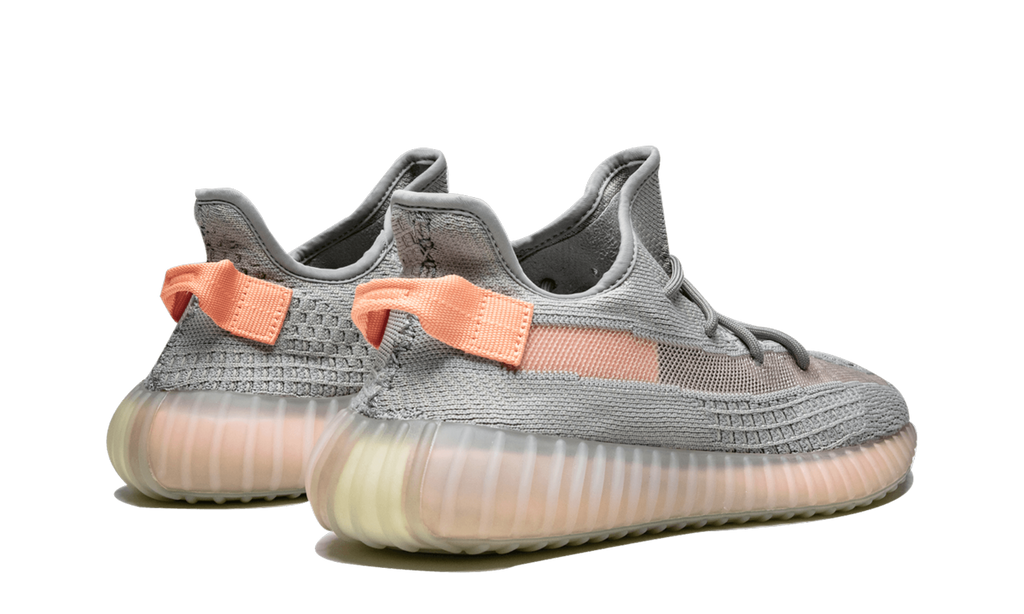 Yeezy Boost 350 V2 "True Form" EG7492