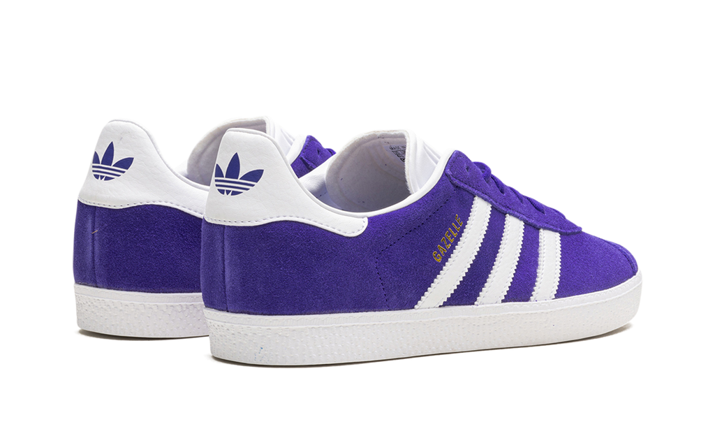 Gazelle GS "Energy Ink" IE5597
