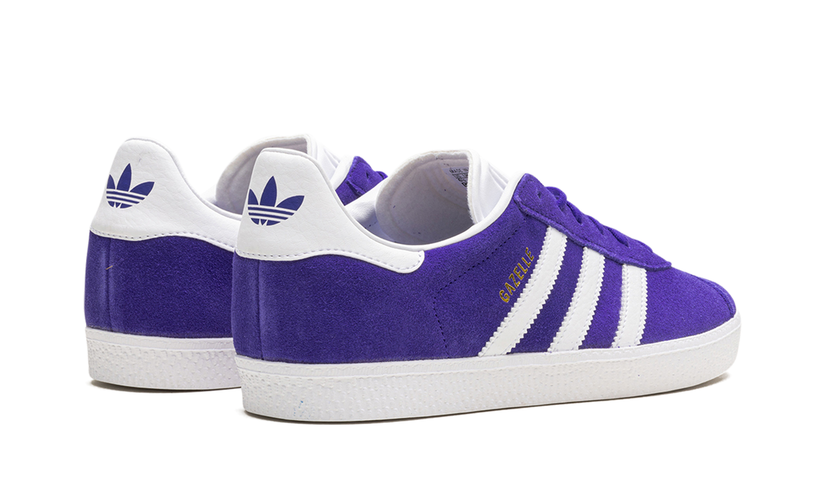 Gazelle GS "Energy Ink" IE5597