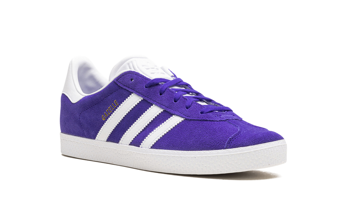 Gazelle GS "Energy Ink" IE5597