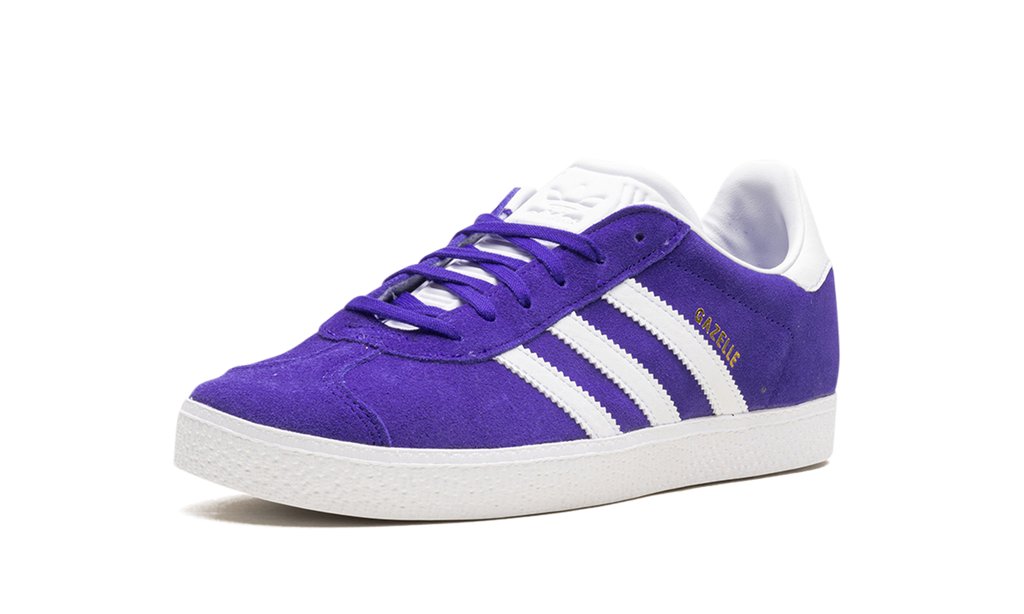 Gazelle GS "Energy Ink" IE5597